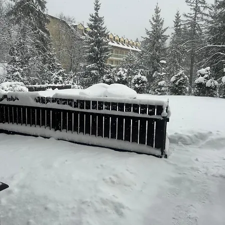 Stanka 002 Apartment Tatranska Strba